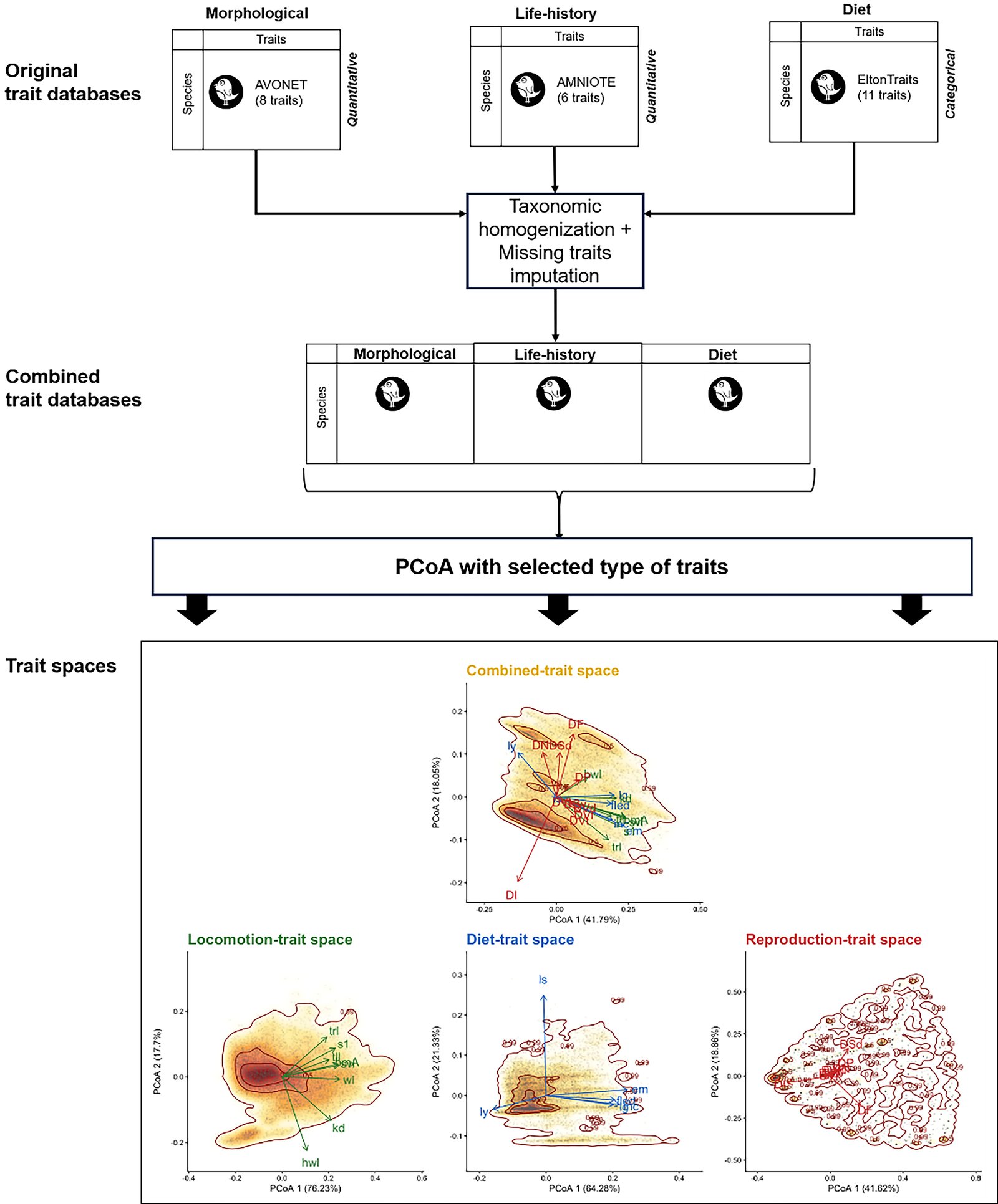Framework used to build function-related trait spaces from three global databases (AVONET, AMNIOTE, EltonTraits) and to compare them with the combined trait space (Toussaint et al. 2026, Fig. 1, CC BY 4.0).