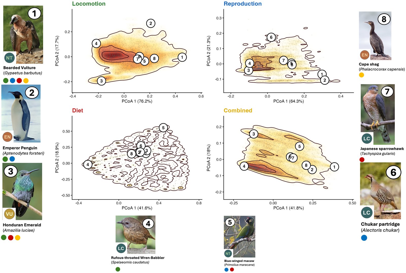 Functionally distinct bird species in the locomotion, reproduction, diet and combined trait spaces